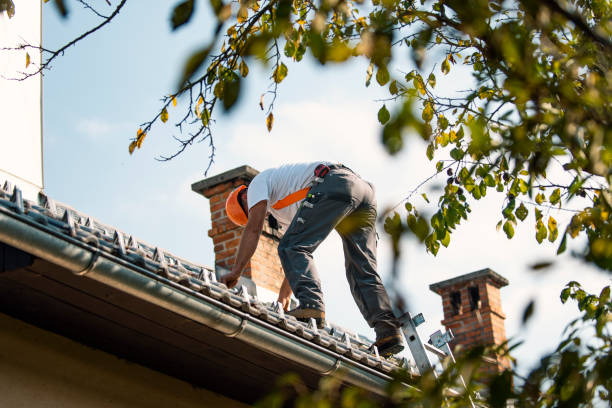 Best Local Roofing Companies  in Tanaina, AK