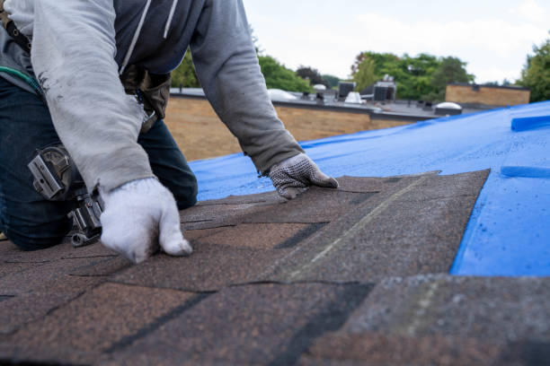 Best Emergency Roof Repair  in Tanaina, AK