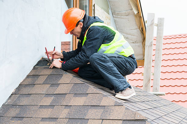 Best Roof Repair Services  in Tanaina, AK
