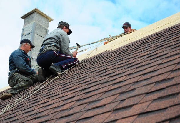Best Residential Roofing Contractor  in Tanaina, AK