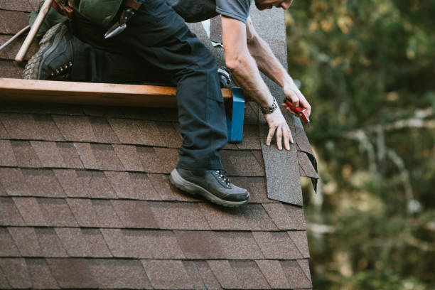 Best Flat Roof Repair Services  in Tanaina, AK